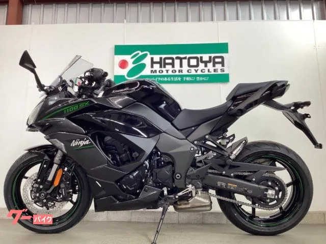 Kawasaki Ninja 1100 SX 2025 — миниатюра 2