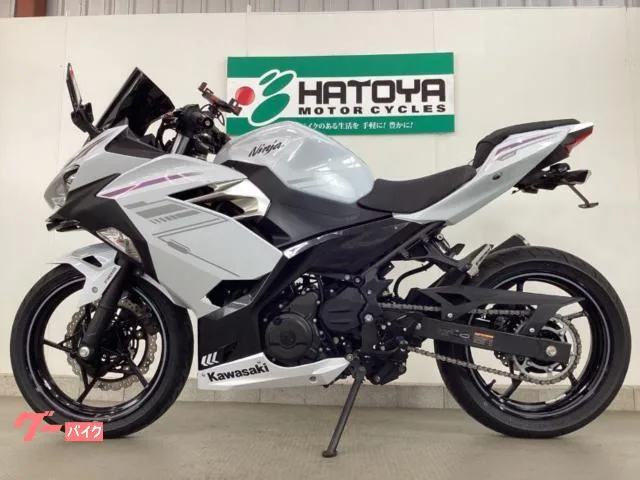 Kawasaki Ninja 400 ETC2.0 2023 — миниатюра 2