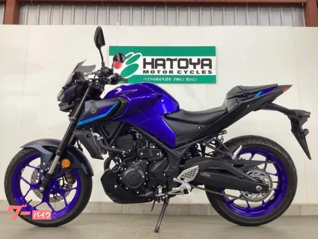 Yamaha MT-25 ABS 2022 — миниатюра 2