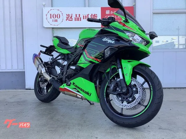 Kawasaki Ninja ZX-4RR 2024 — миниатюра 5