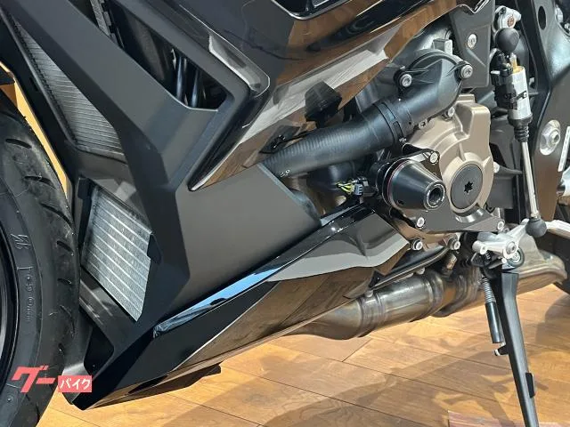 BMW S1000R SC BMW 2024 — миниатюра 3