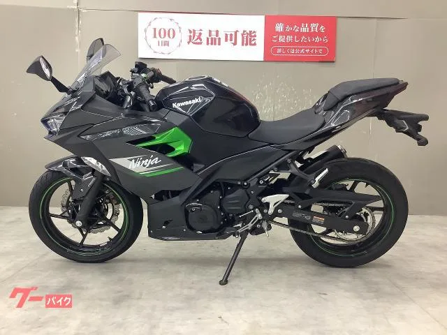 Kawasaki Ninja 250 2024 — миниатюра 3