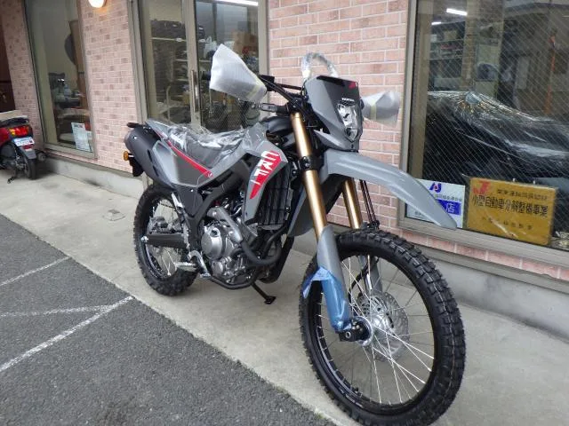 Honda CRF250L 2025 2025 — миниатюра 2