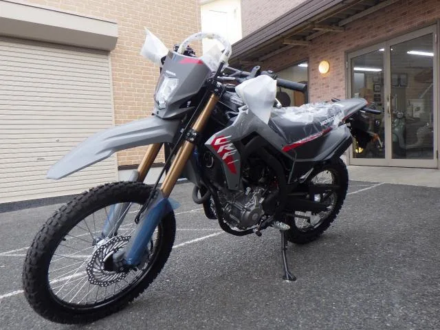 Honda CRF250L 2025 2025 — миниатюра 4