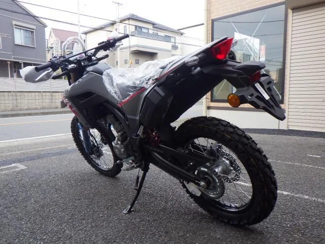 Honda CRF250L 2025 2025 — миниатюра 5