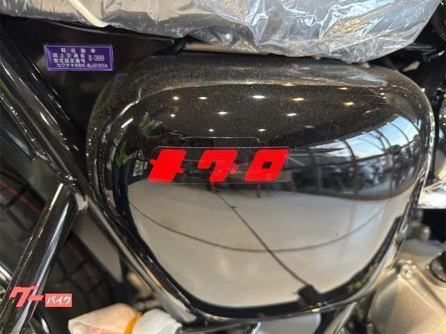 Kawasaki S1 2025 — миниатюра 5