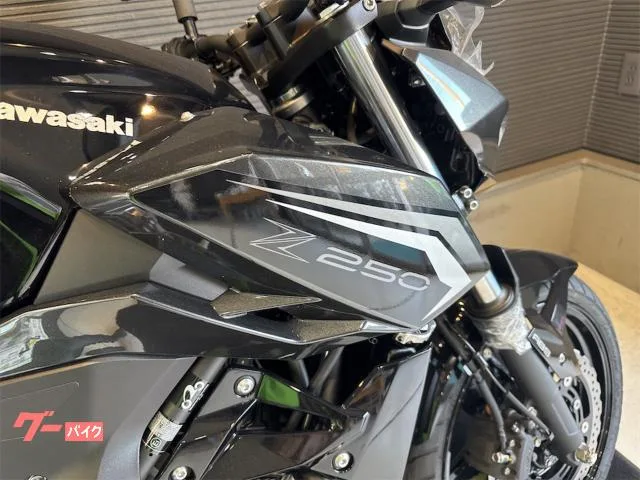 Kawasaki Z250 ETC 2026 — миниатюра 2