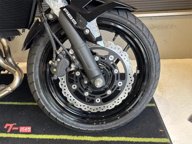 Kawasaki Z250 ETC 2026 — миниатюра 3