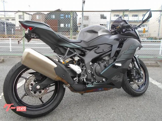 Kawasaki Ninja ZX-4R SE/ / 2025 — миниатюра 4