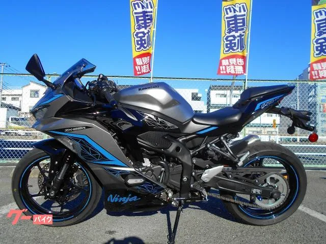 Kawasaki Ninja ZX-25R SE 2024 — миниатюра 5