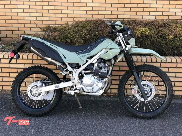 Kawasaki KLX230 2025 — фото 1, купить с доставкой в Москву