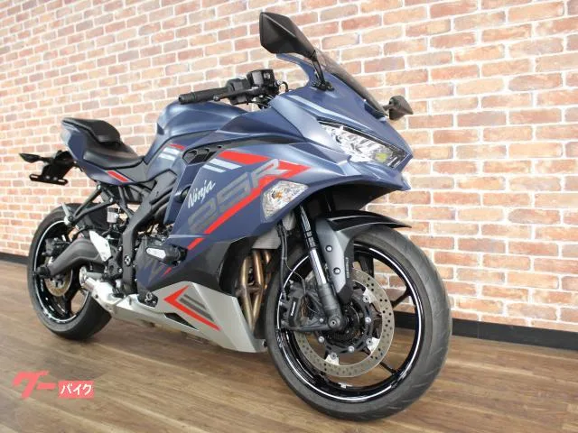 Kawasaki Ninja ZX-25R SE ABS 2022 — миниатюра 2