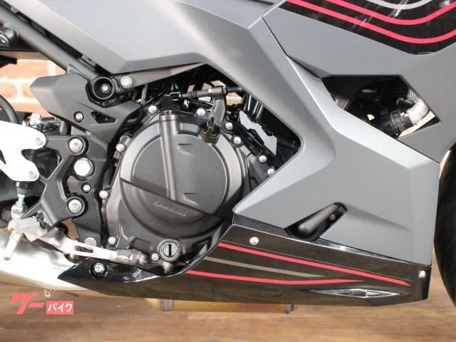 Kawasaki Ninja 400 ABS 2024 — миниатюра 5