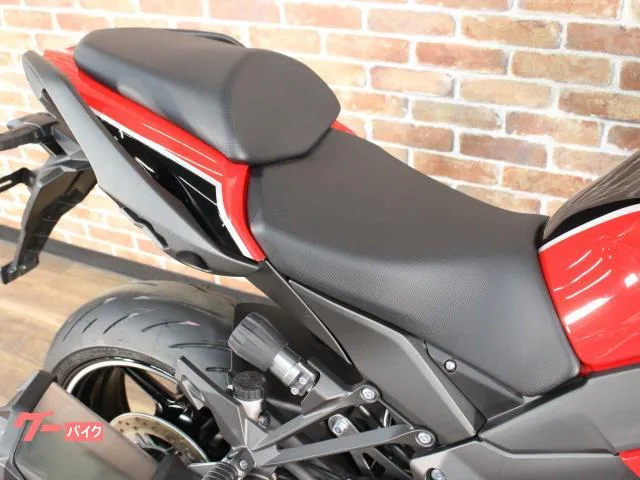 Kawasaki Ninja 1000 SX 40th ABS ETC 2024 — миниатюра 3