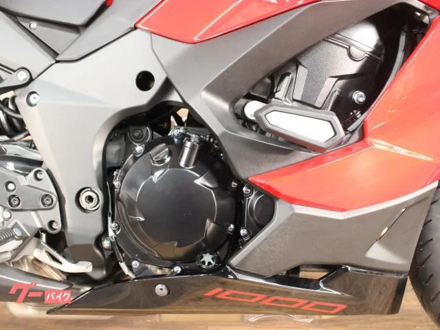 Kawasaki Ninja 1000 SX 40th ABS ETC 2024 — миниатюра 5