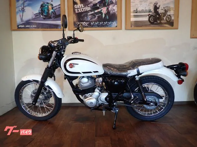 Kawasaki W230 ETC JRM-21 2025 — миниатюра 2