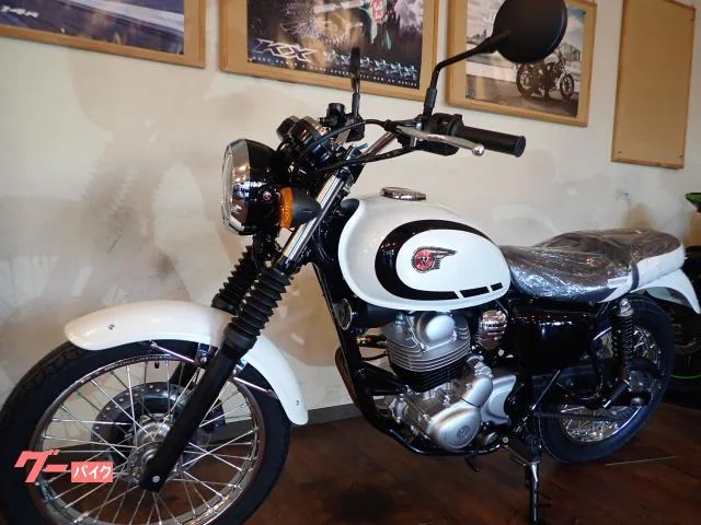 Kawasaki W230 ETC JRM-21 2025 — миниатюра 4