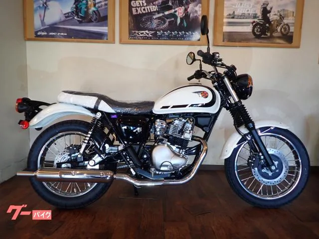 Kawasaki W230 ETC JRM-21 2025 — фото 1, купить с доставкой в Москву