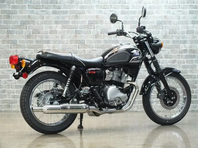 Kawasaki S1 2026 2026 — миниатюра 2
