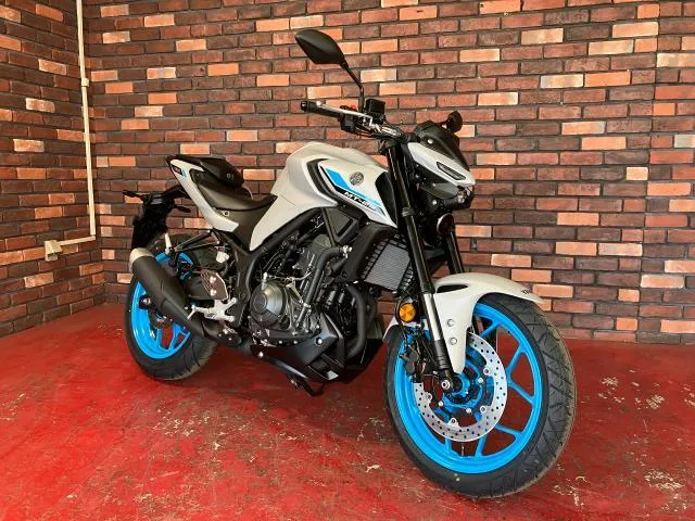 Yamaha MT-25 ABS 2025 — фото 1, купить с доставкой в Москву