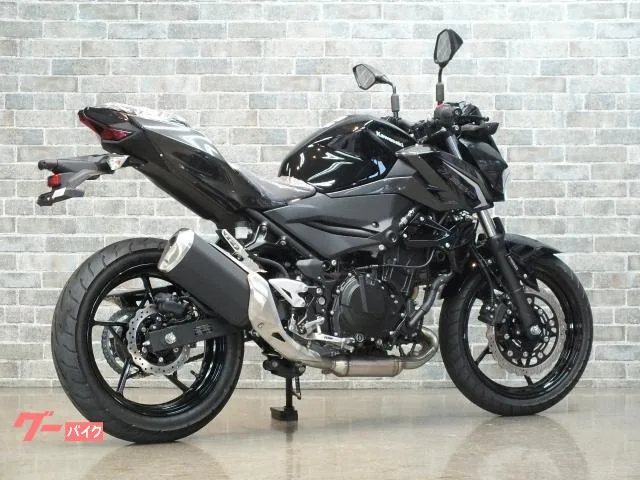 Kawasaki Z250 ABS 2026 — миниатюра 2