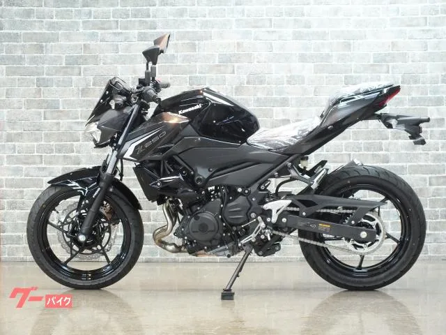 Kawasaki Z250 ABS 2026 — миниатюра 4