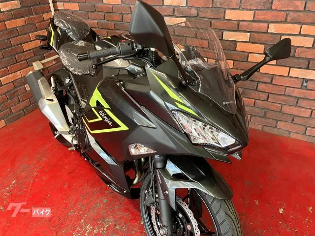 Kawasaki Ninja 250 2026 2026 — миниатюра 3