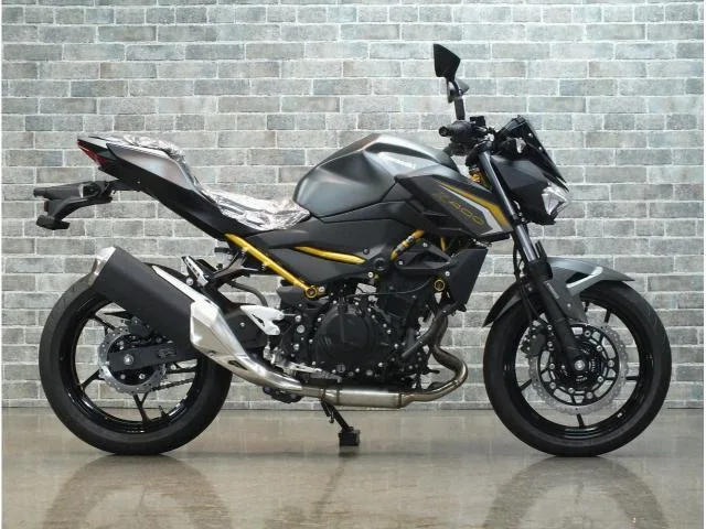 Kawasaki Z400 ABS 2026 2026 — миниатюра 4