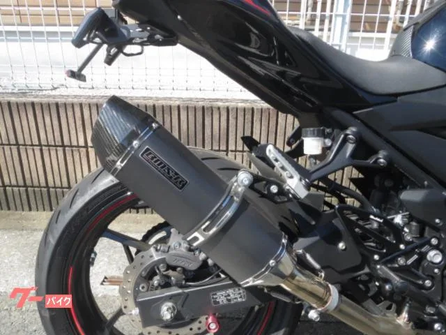 Kawasaki Z400 2024 — миниатюра 2