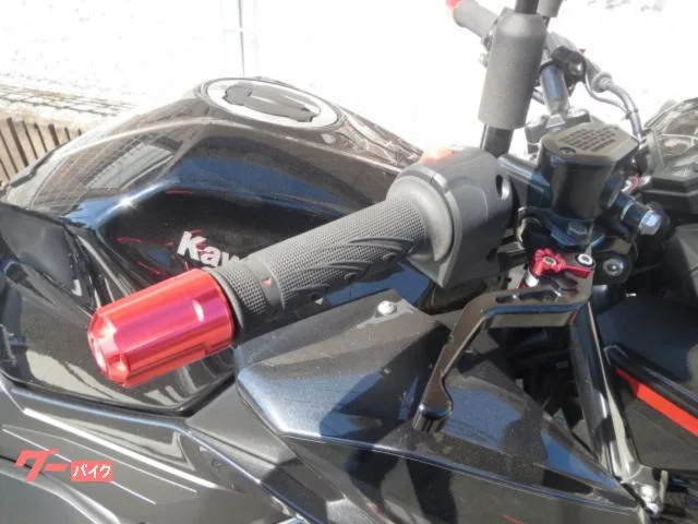 Kawasaki Z400 2024 — миниатюра 3