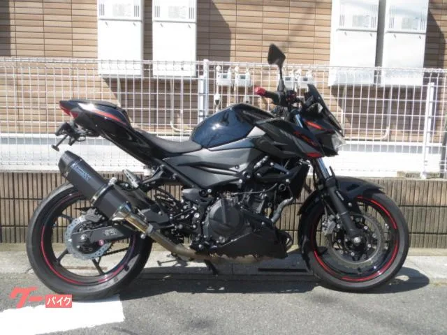 Kawasaki Z400 2024 — фото 1, купить с доставкой в Москву