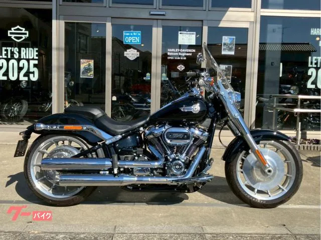 HARLEY-DAVIDSON FLFBS 114 VP 2024 — миниатюра 2