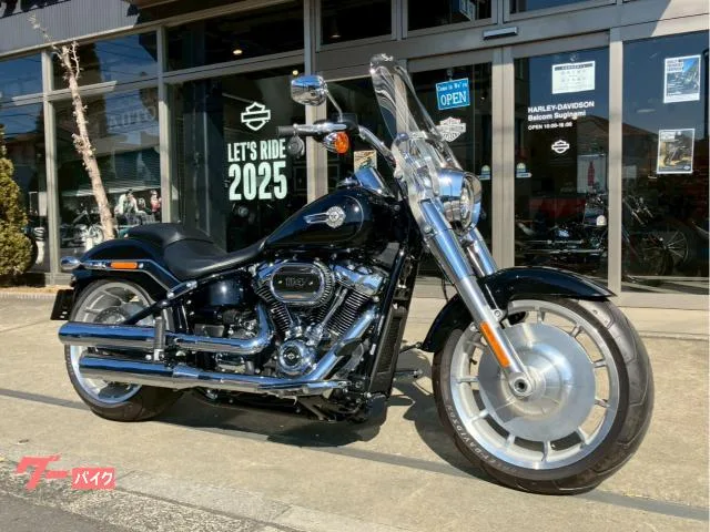 HARLEY-DAVIDSON FLFBS 114 VP 2024 — фото 1, купить с доставкой в Москву