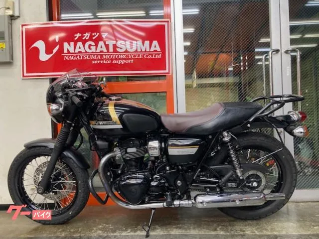 Kawasaki W800 EJ800E ETC USB 2022 — миниатюра 2