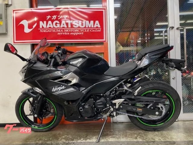 Kawasaki Ninja 250 ABS EX250P USB 2 2022 — миниатюра 2