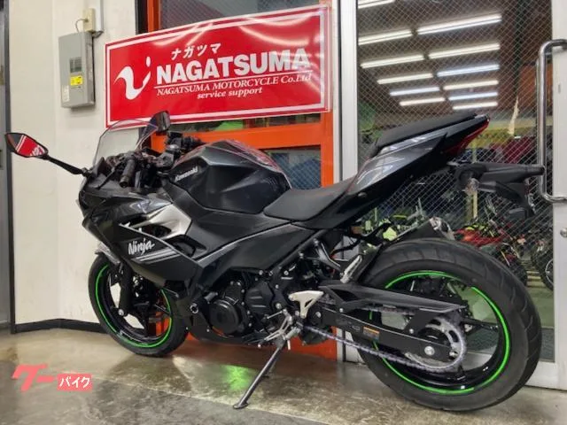 Kawasaki Ninja 250 ABS EX250P USB 2 2022 — миниатюра 4