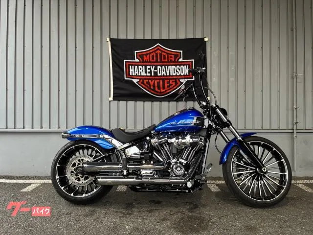 HARLEY-DAVIDSON FXBR 2024 — миниатюра 2
