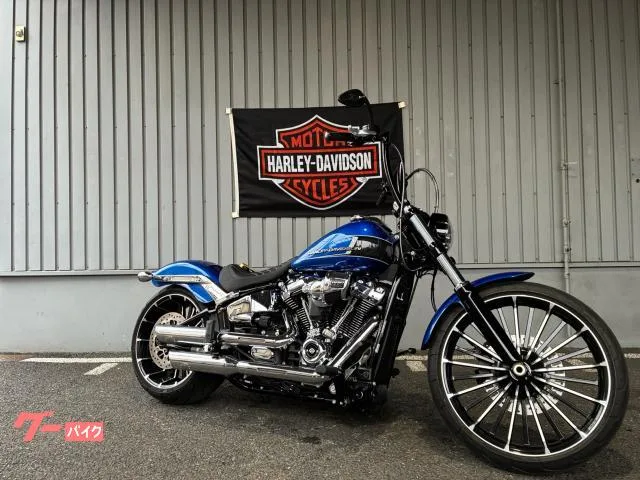 HARLEY-DAVIDSON FXBR 2024 — миниатюра 3