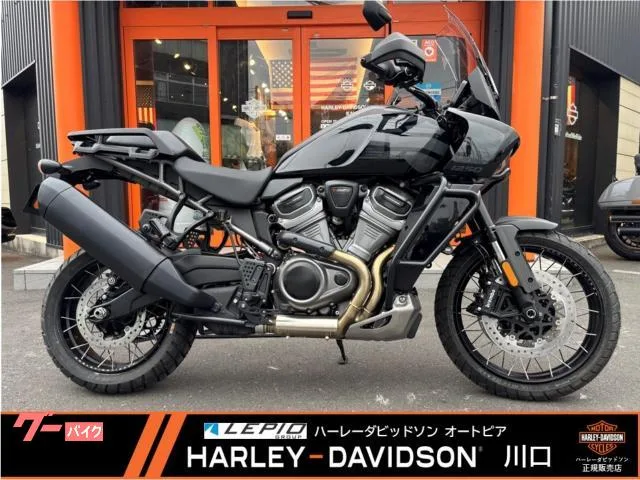 HARLEY-DAVIDSON 1250 /ABS/// 2024 — фото 1, купить с доставкой в Москву