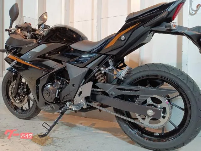 Suzuki GSX250R 4 SEP LED 2026 — миниатюра 5