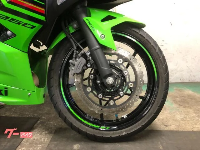 Kawasaki Ninja 250 ABS EX250Y KRT 2023 — миниатюра 4