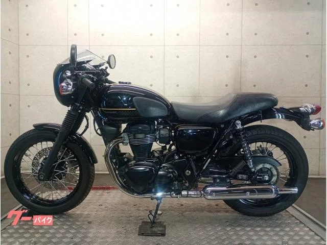 Kawasaki W800 EJ800E ETC2.0 69546 2023 — миниатюра 2