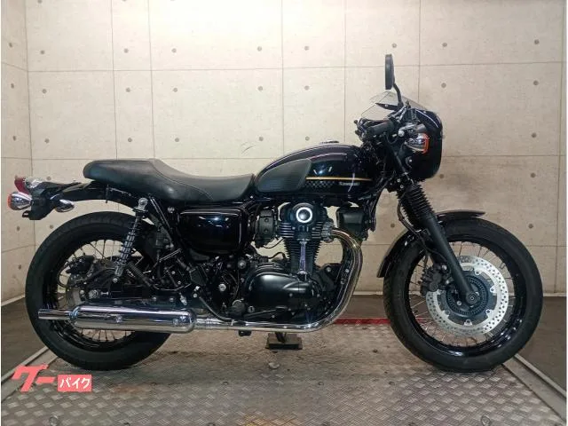 Kawasaki W800 EJ800E ETC2.0 69546 2023 — фото 1, купить с доставкой в Москву