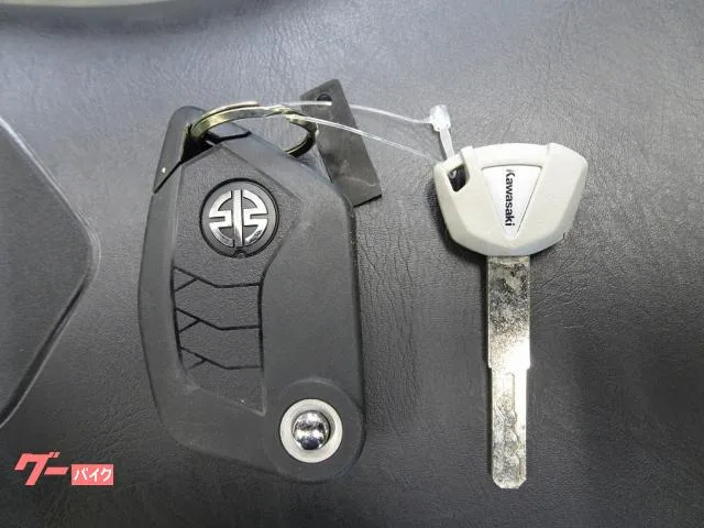 Kawasaki Ninja H2 SX ZXT02P ETC 72302 2022 — миниатюра 3