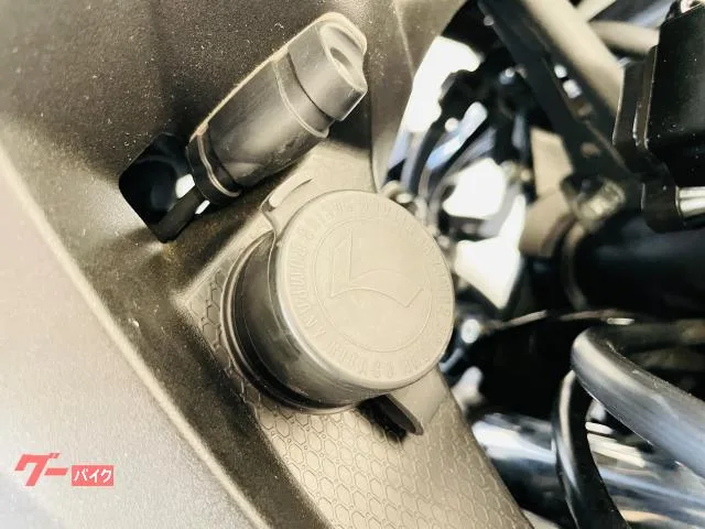 Kawasaki Ninja 250 EX250Y 1 ETC 2024 — миниатюра 3