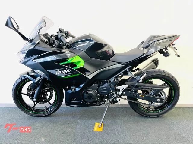 Kawasaki Ninja 250 EX250Y 1 ETC 2024 — миниатюра 4