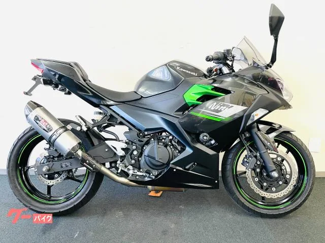 Kawasaki Ninja 250 EX250Y 1 ETC 2024 — фото 1, купить с доставкой в Москву