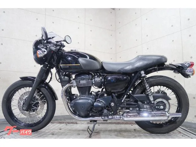 Kawasaki W800 EJ800E 68875 2023 — миниатюра 2