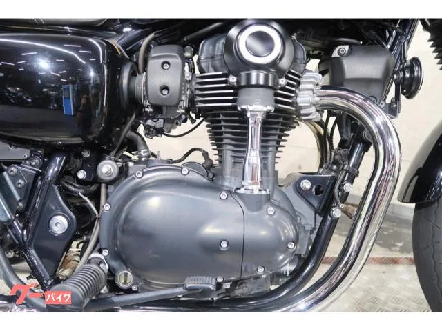 Kawasaki W800 EJ800E 68875 2023 — миниатюра 3