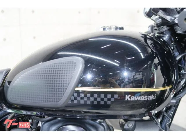 Kawasaki W800 EJ800E 68875 2023 — миниатюра 5